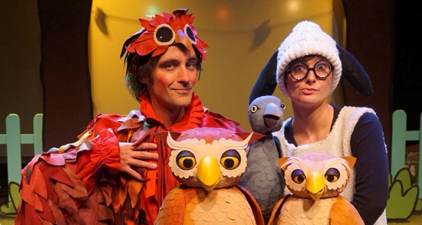 HOOT OWL Master of Disguise